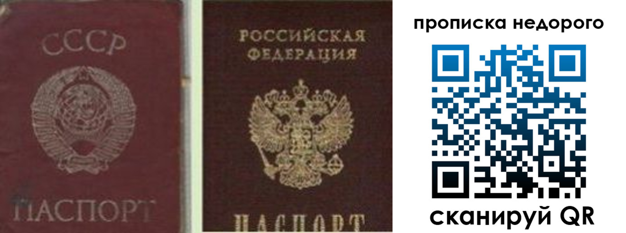 временная регистрация поиск в ЕАО